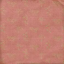 ������Ҷ����-������