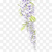 蓬松的铃兰花手绘插画-空若网 蓬松的铃兰花手绘插画-空若网