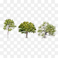 ���� ������-������