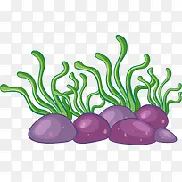 海洋植物绿色海草-空若网 海洋植物绿色海草-空若网