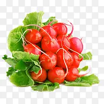 一堆红萝卜蔬菜叶子-空若网 一堆红萝卜蔬菜叶子-空若网