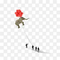 保护动物-空若网 保护动物-空若网