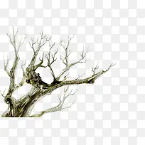 ΨÃÀÇïÈÕµòÁã´óÊ÷-¿ÕÈôÍø ΨÃÀÇïÈÕµòÁã´óÊ÷-¿ÕÈôÍø