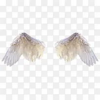 ����ĳ��-������