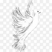 手绘卡通白色飞鸟-空若网 手绘卡通白色飞鸟-空若网