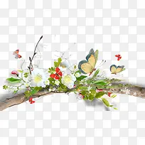 ��֦�ϵĻ�����-������