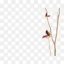 树枝上的蝴蝶模特素材-空若网 树枝上的蝴蝶模特素材-空若网