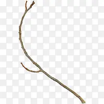 枯萎的树枝-空若网 枯萎的树枝-空若网