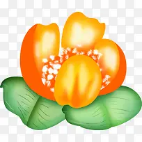 ��ɫС��װ��Ʒ-������