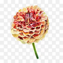 橙色花朵装饰-空若网 橙色花朵装饰-空若网