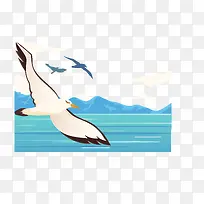 ����İ׺�-������