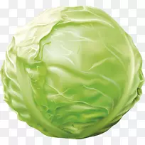 甘蓝蔬菜甘蓝-空若网 甘蓝蔬菜甘蓝-空若网