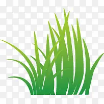 植物绿色生长小草-空若网 植物绿色生长小草-空若网