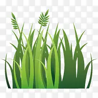 ֲ����ɫ����С��-������