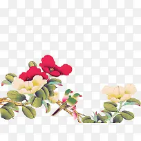 ���ﻨ��-������