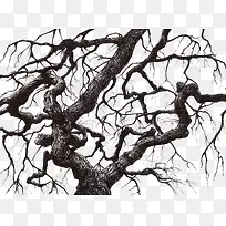 ��������֦-������