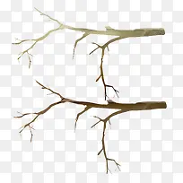 ��֦-������