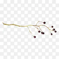 Ö¦Ìõ×°ÊÎËØ²Ä-¿ÕÈôÍø Ö¦Ìõ×°ÊÎËØ²Ä-¿ÕÈôÍø