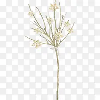 ֦���ز�ͼƬ-������