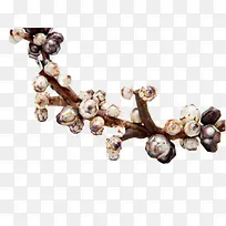 �ɻ���֦-������