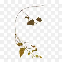 细枝图片-空若网 细枝图片-空若网