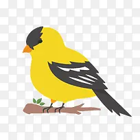 卡通扁平化设计鸟儿-空若网 卡通扁平化设计鸟儿-空若网