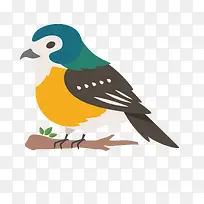 扁平化设计卡通鸟儿-空若网 扁平化设计卡通鸟儿-空若网