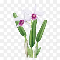 ʸ��ˮ�ɻ�-������