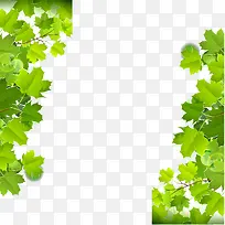 �ԳƵ�������ɫ��ƽ��Ψ������Ҷ-������