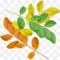 卡通多彩树叶-空若网 卡通多彩树叶-空若网