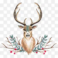 水彩麋鹿-空若网 水彩麋鹿-空若网