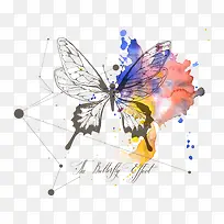 蝴蝶与水彩墨迹-空若网 蝴蝶与水彩墨迹-空若网