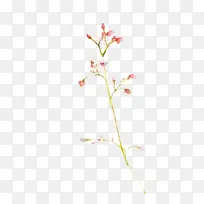 桃花开开图片素材-空若网 桃花开开图片素材-空若网