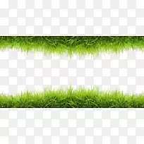 ��ֽ-��-������