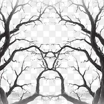 中国风手绘树枝-空若网 中国风手绘树枝-空若网