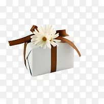 ʥ����װ��Ʒ��ɫ-������