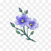 手绘亚麻花素材-空若网 手绘亚麻花素材-空若网