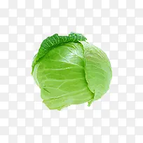 空心菜-空若网 空心菜-空若网