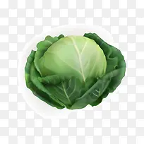 卷心菜包菜空心菜蔬菜-空若网 卷心菜包菜空心菜蔬菜-空若网