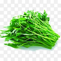 新鲜的空心菜素材-空若网 新鲜的空心菜素材-空若网
