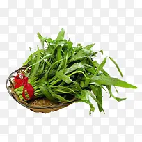 ���÷ŵ�������Ŀ��Ĳ�-������