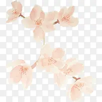 水彩桃花-空若网 水彩桃花-空若网