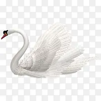 �ֻ�����-������