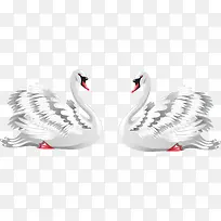 矢量爱情象征白天鹅-空若网 矢量爱情象征白天鹅-空若网