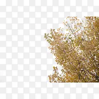 �������ز�-������