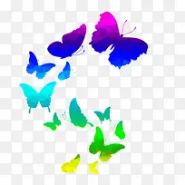 彩色蝴蝶-空若网 彩色蝴蝶-空若网