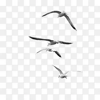 һȺ����-������