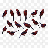 卡通动物手绘素材 鹦鹉-空若网 卡通动物手绘素材 鹦鹉-空若网