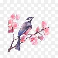 水彩手绘鸟儿与花朵-空若网 水彩手绘鸟儿与花朵-空若网