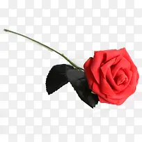 ����õ��-������